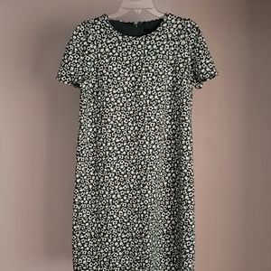 New w/o tags. Ann Taylor Dress, Size 8, Green, Black and White